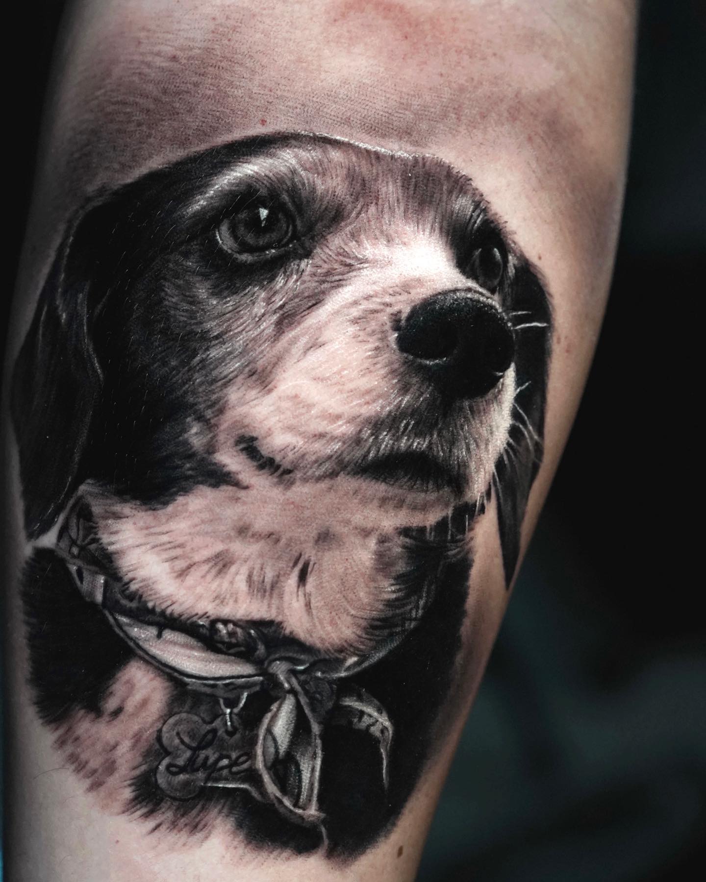 Dog Tattoo